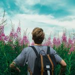 Discover the Natural Beauty of Atlanta – for Nature Aficionados 