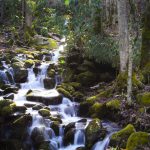 7 Amazing Reasons to Visit Greensboro
