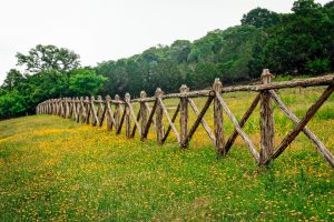 Texas Hill Country